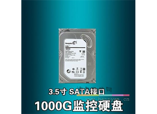 希捷 ST1000VM002 监控硬盘