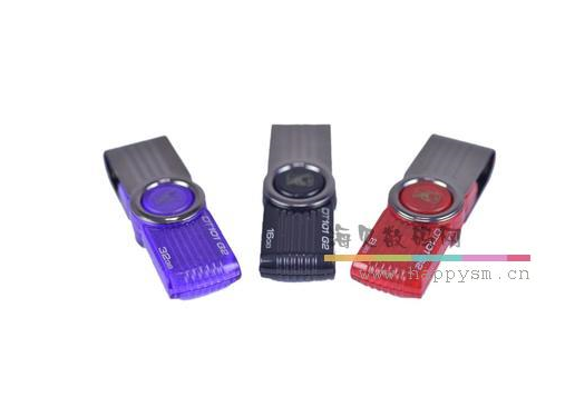 金士顿 DT101G2 2.0 8G