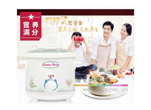 艾苏恩 JN-15全自动电炖锅
