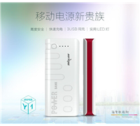 ZEALOT 15600mah