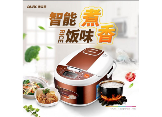 奥克斯 FR-F3001EC-3l 智能电饭煲