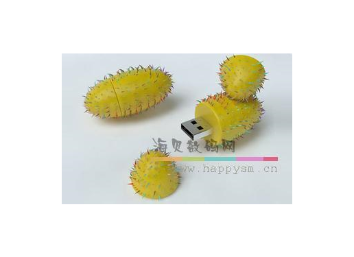 热带水果 U盘
