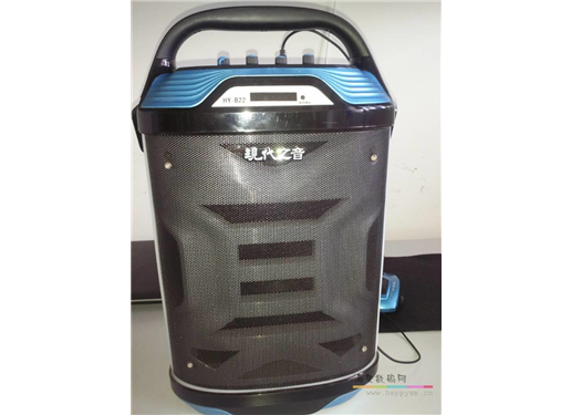 现代之音 HY-B22 音箱