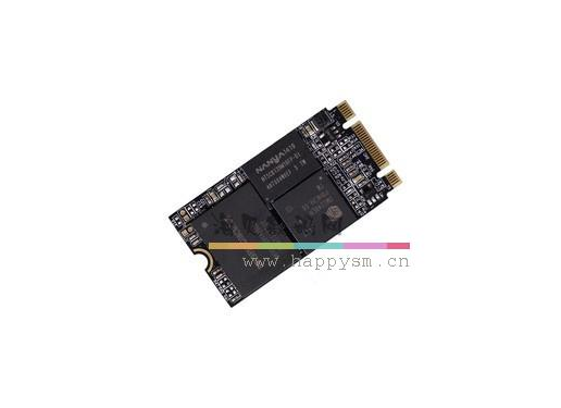 佰维 G6318 NGFF 接口 超极本专用 42*22 固态硬盘