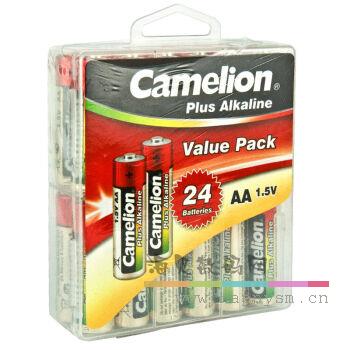 飞狮 LR6-PBH24 超强碱性5号电池 24节装