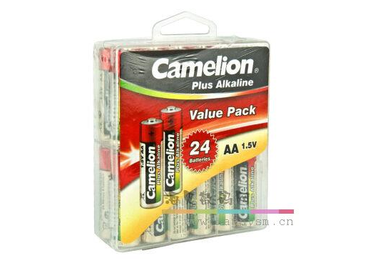 飞狮 LR6-PBH24 超强碱性5号电池 24节装