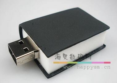 书籍 U盘