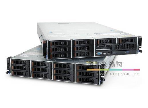 IBM M1115  阵列卡