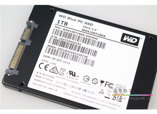 西部数据 蓝盘 SATA 500G SSD