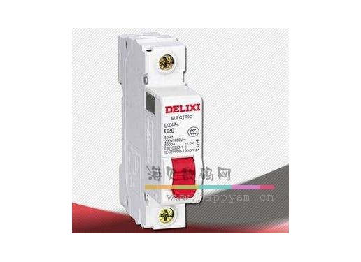 德力西 DELIXI 漏电断路器 (20A)