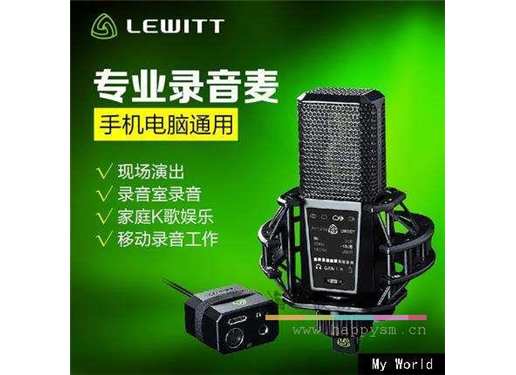 莱维特 (LEWITT)  DGT-650 麦克风