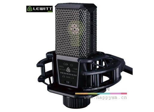 莱维特 (LEWITT)  DGT-450 麦克风