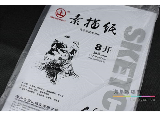 素描王 素描纸 20张/120G 学生素描纸