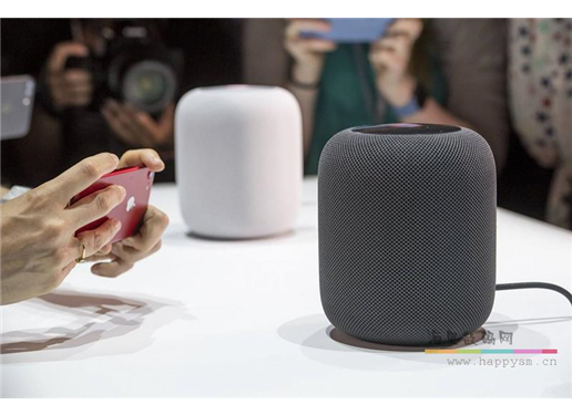 苹果 Home Pod 音响 HV2 白色