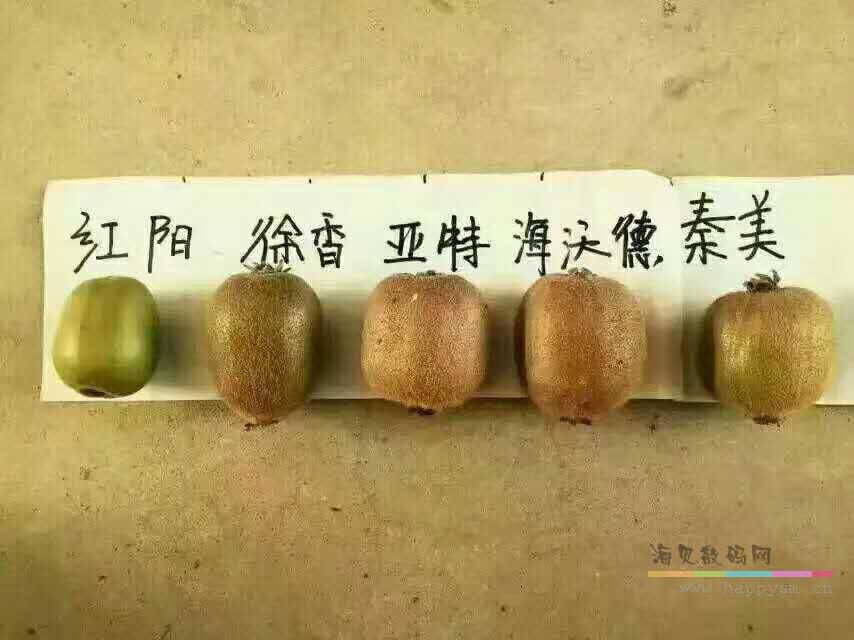 微信图片_20170816112409.jpg
