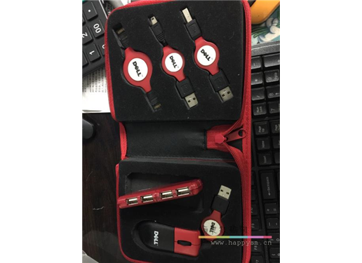 戴尔 炫能USB套装