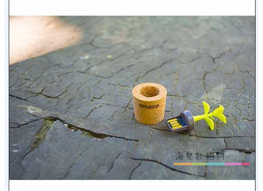 花盆 U盘