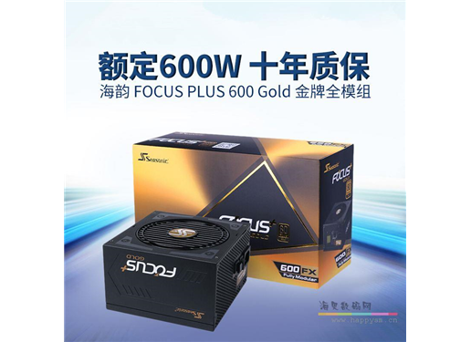 海韵 FOCUS+ 600FX 额定600W 电源