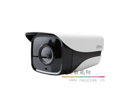 大华 DH-IPC-HFW2120M-S-I4 摄像头