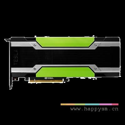 英伟达 Tesla P40 24G 深度学习 虚拟化