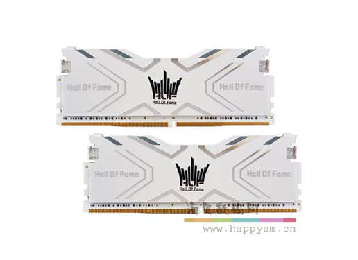 影驰 16G 名人堂HOF DDR4 3600 8G*2 内存套条台式机发光内存条