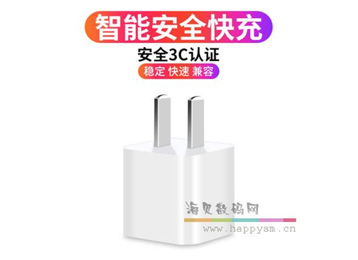 苹果 充电器 充电头