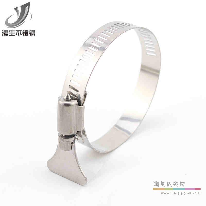 国产 znxn带钢卡 钢带（铁质）