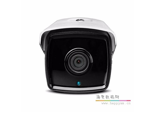 海康威视 DS-2CD3T10D-I3 (单灯）网络130万像素