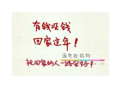 歌曲 《有钱没钱回家过年》