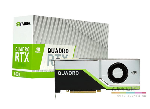 英伟达 RTX8000 48G