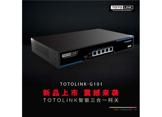 TOTO-LINK G101 三合一网关