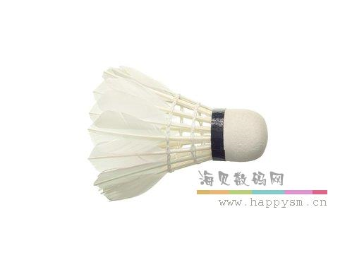 羽毛球