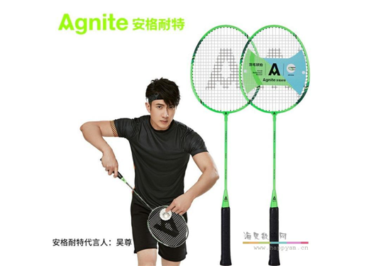 安格耐特 羽毛球拍 F2117（内送3只羽毛球）钛合金