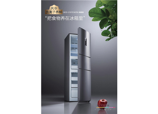 TCL BCD-215TEWZ50 风冷无霜三门冰箱 AAT养鲜变频风机 电脑控温