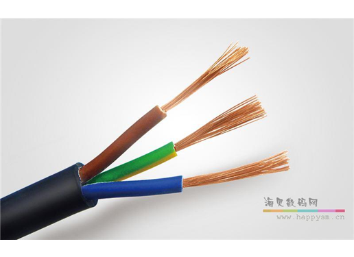 联通 FS-RVV 3*1.5 电源线 国标