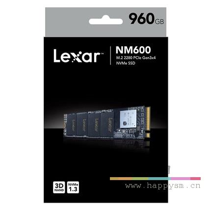 雷克沙 M.2 NGFF 2280 256G