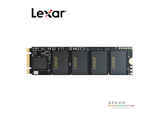 雷克沙 M.2 NVME 2280 256G