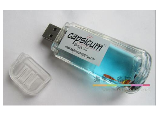 鱼塘 U盘 内嵌可爱小鱼