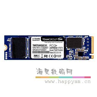 十铨 GT2  M.2 固态硬盘 M.2