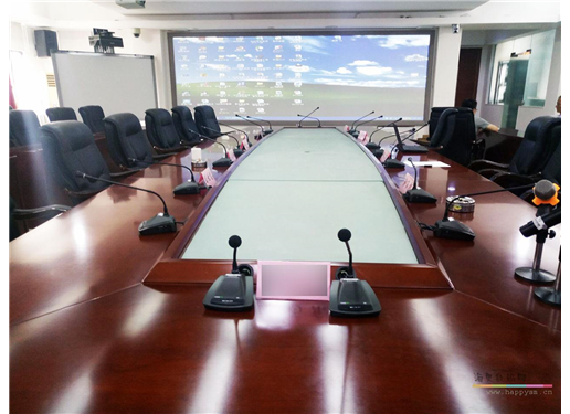 AVWIN 双通道真分集无线麦克风 AV-910D