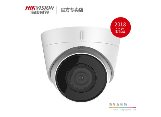 海康威视 T12H-i POE 200万像素 POE 高清摄像头