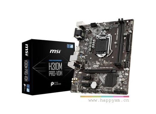 微星 H310M PRO-VDH