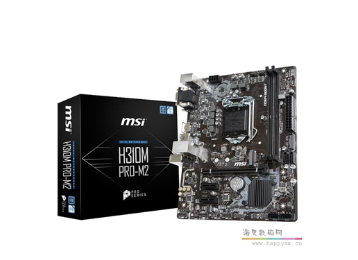 微星 H310M PRO-M2