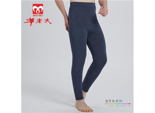 羊老大 YLD-61K405  175/88B 蓝灰色