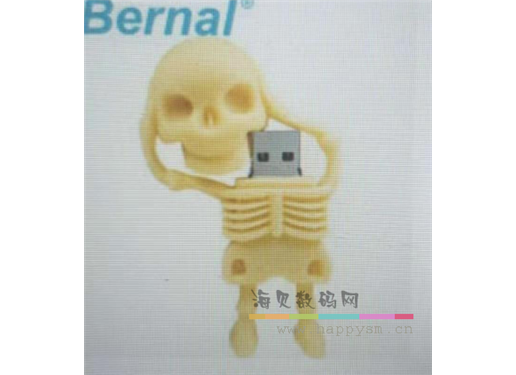 骷髅 骨架 U盘