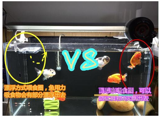 百思泰 水族 亚克力投食器