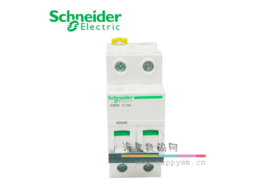 施耐德 iC65N C10/2P 电源开关