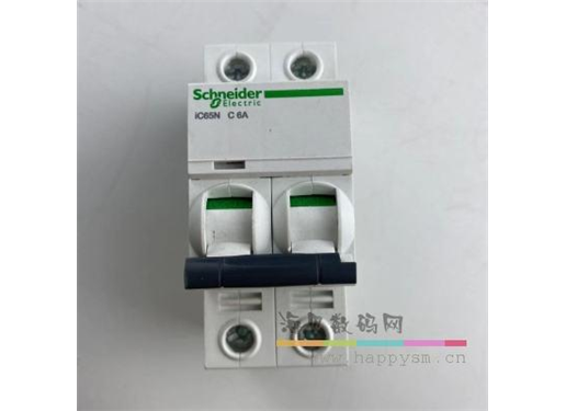 施耐德 iC65N C6/2P 电源开关