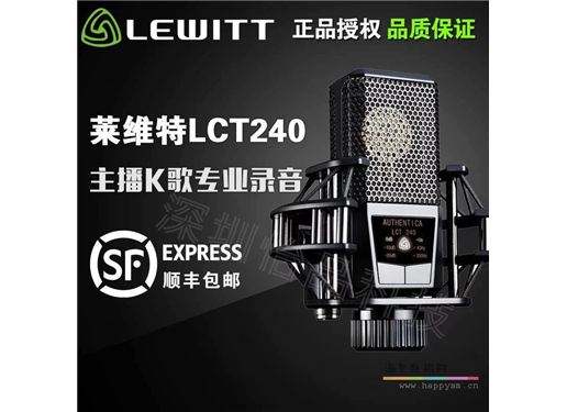 莱维特 (LEWITT)  LCT-240 麦克风