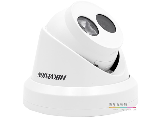 海康威视 DS-2CD3346FWD-IS 带音频带麦克风 海螺
